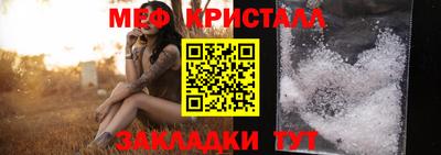 прущие грибы Дубна
