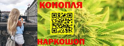 прущие грибы Дубна