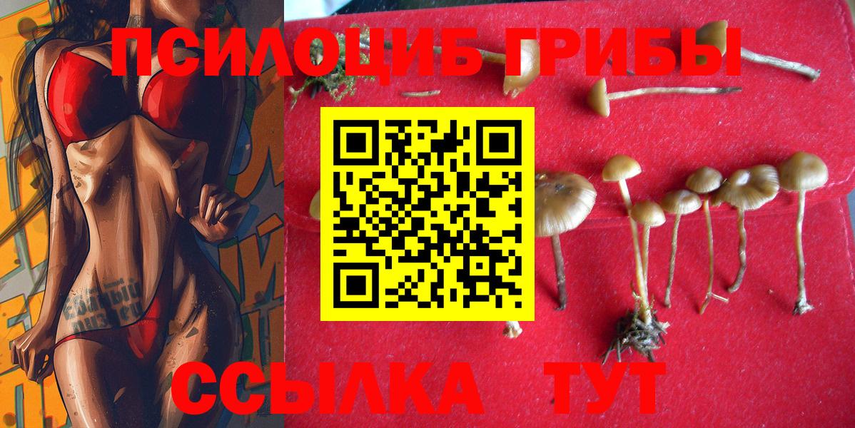 Псилоцибиновые грибы мицелий Миллерово