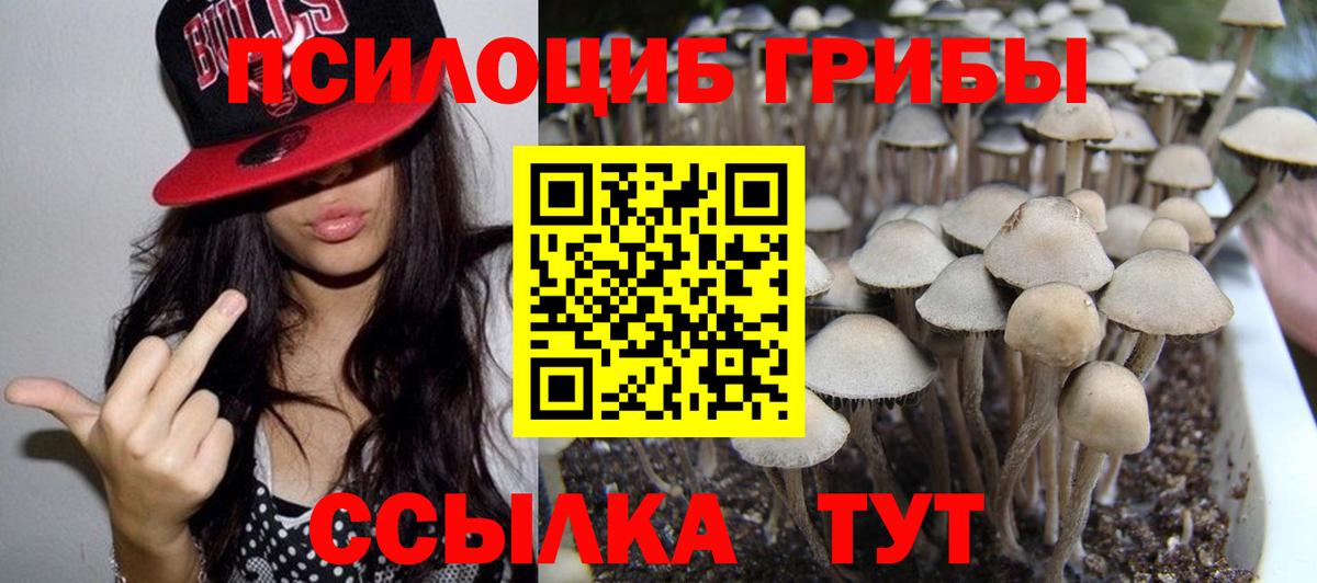 Псилоцибиновые грибы Cubensis  Вход с VPN  Галлюциногенные грибы прущие грибы  Миллерово 